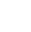 lupa-icon